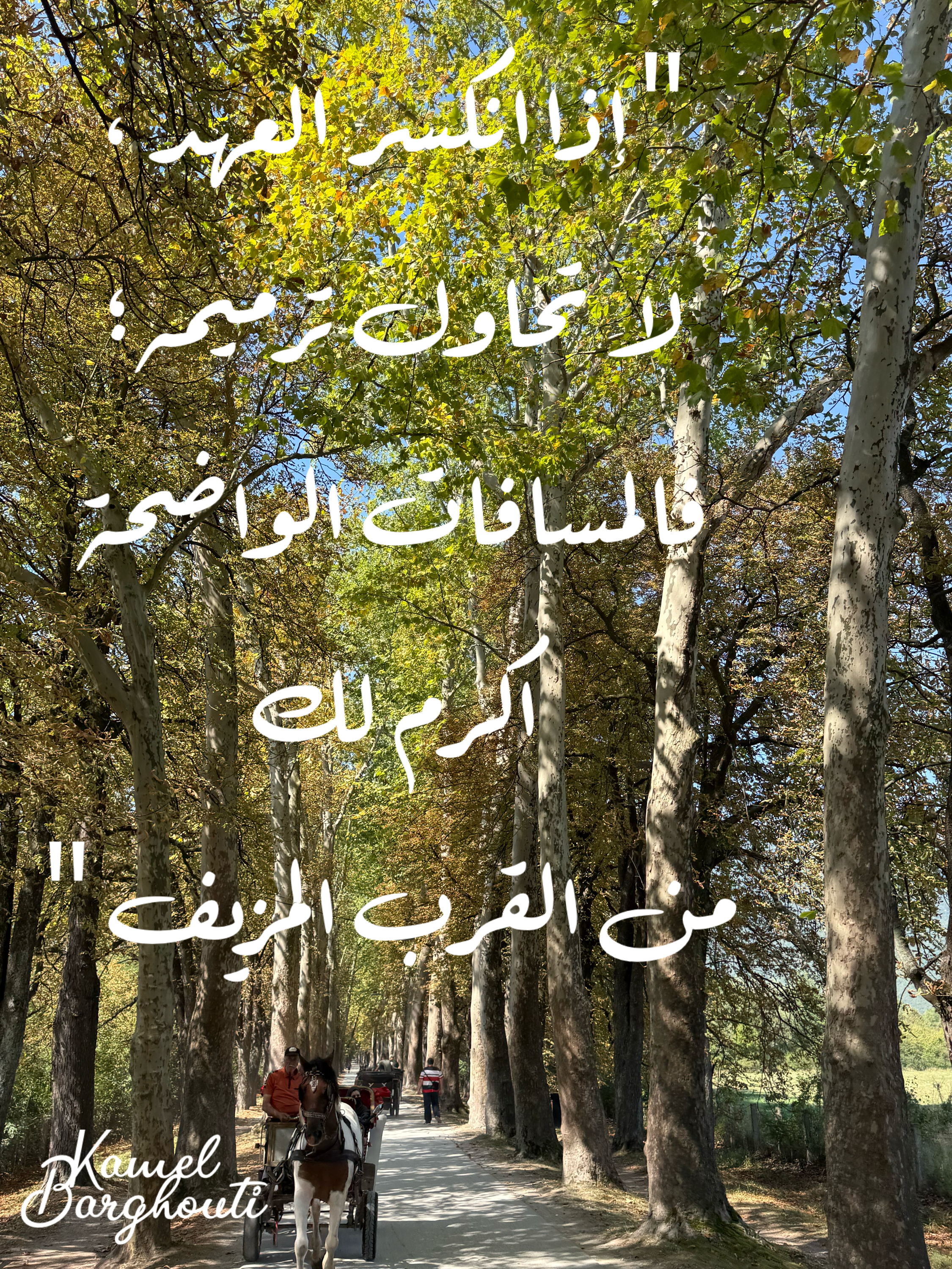 حكمة – اقتباس 48