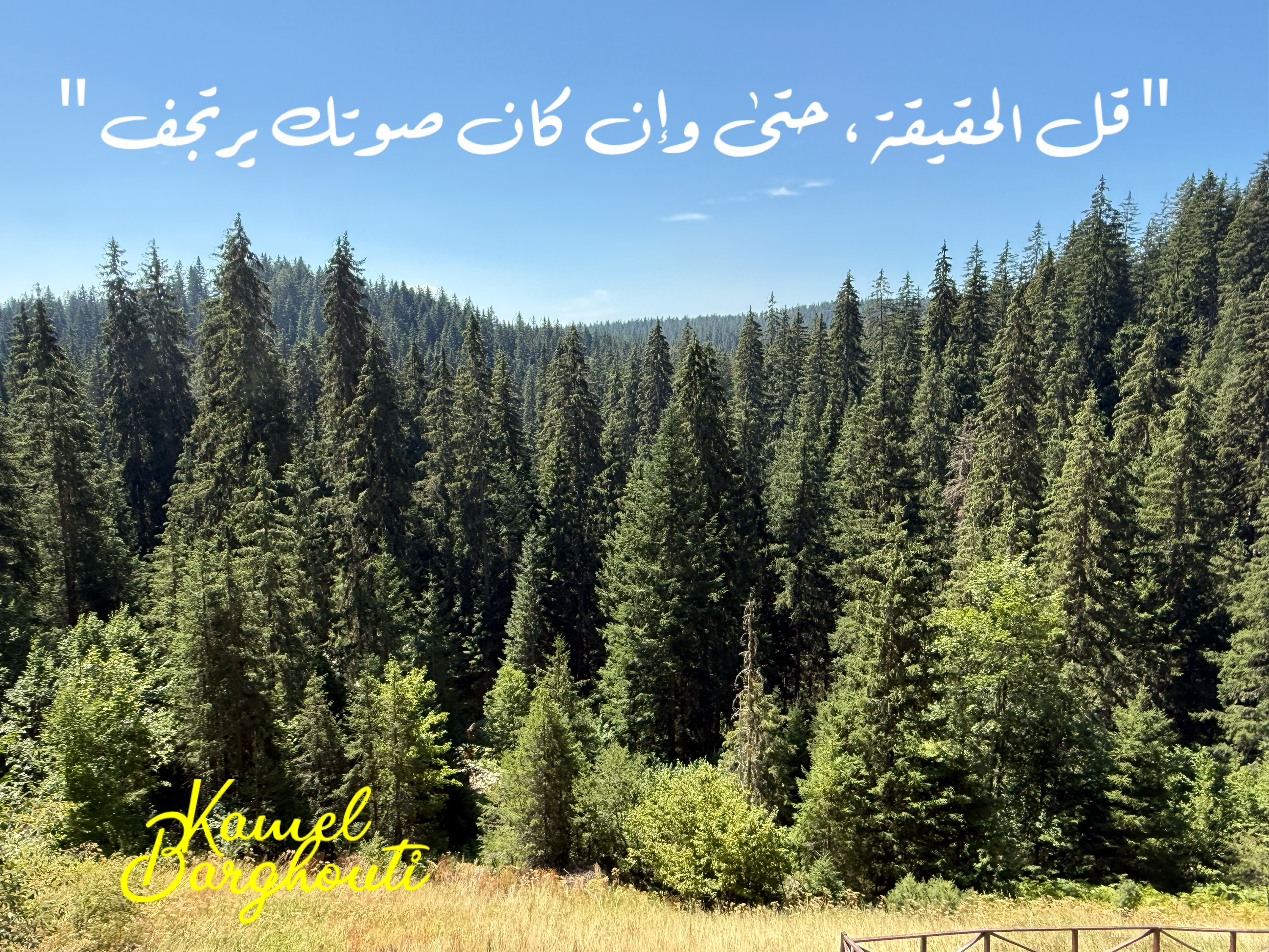 Beautiful Talk – quote 61
