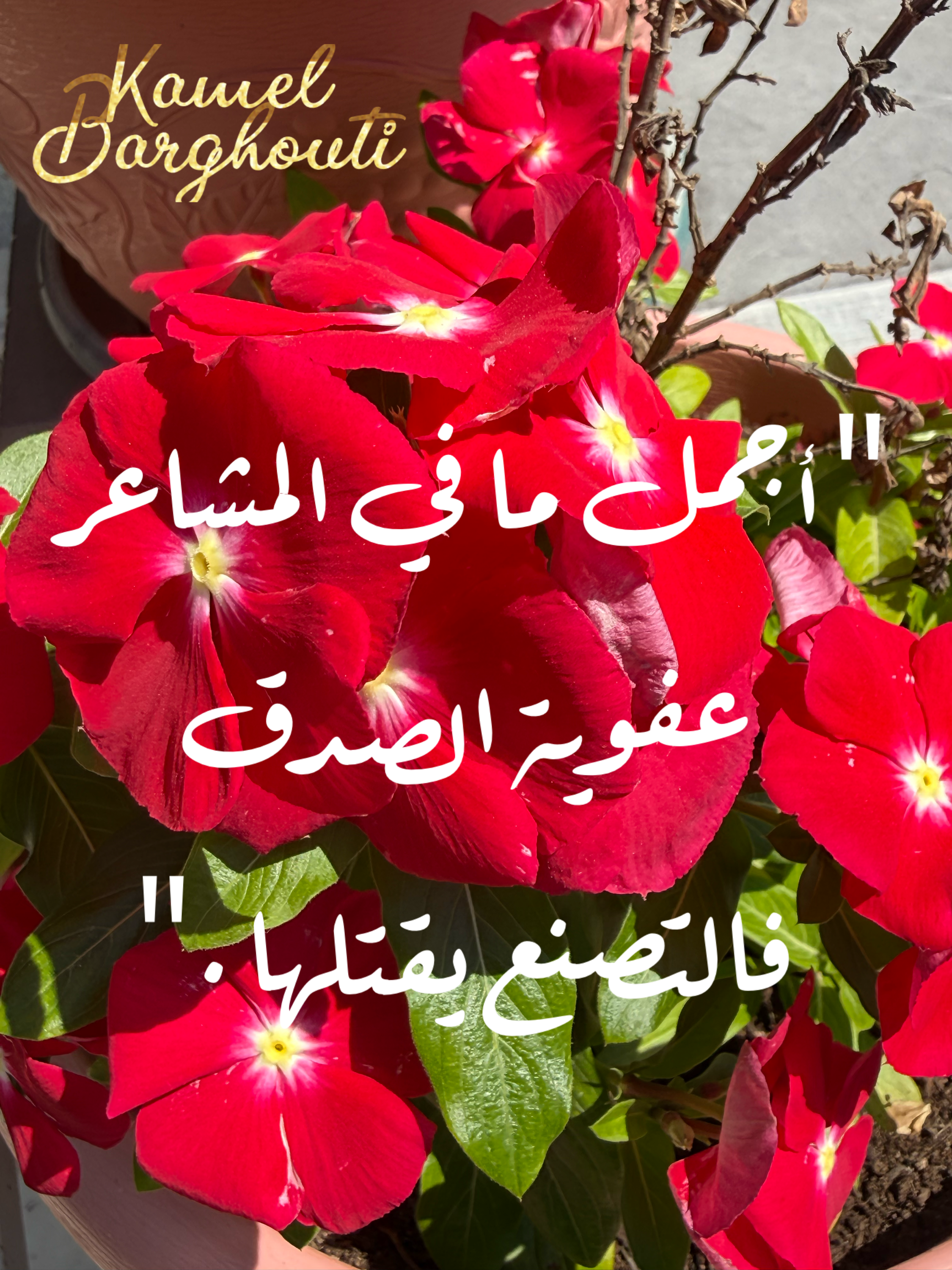 Beautiful Talk – quote 66