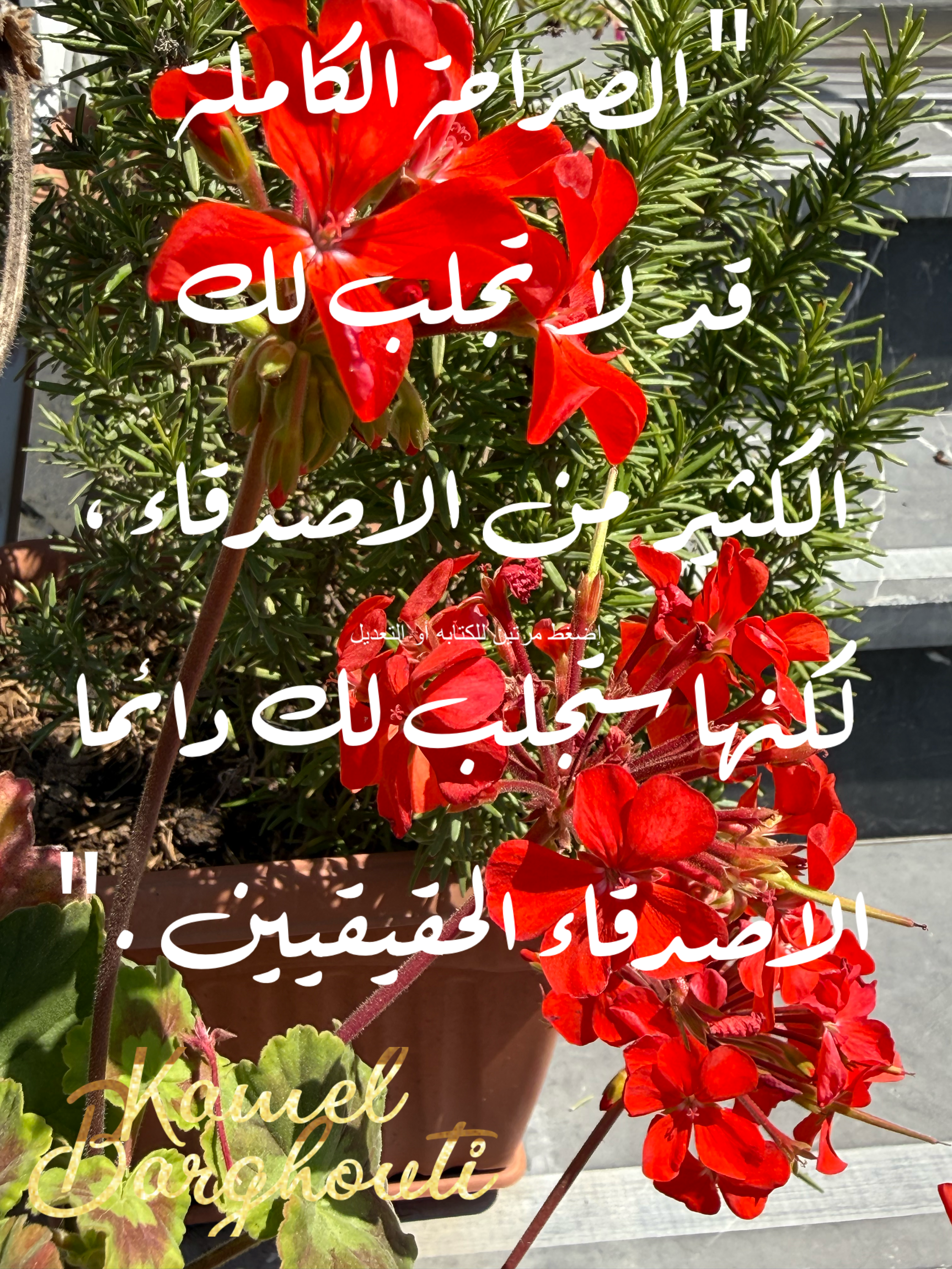 Beautiful Talk – quote 67