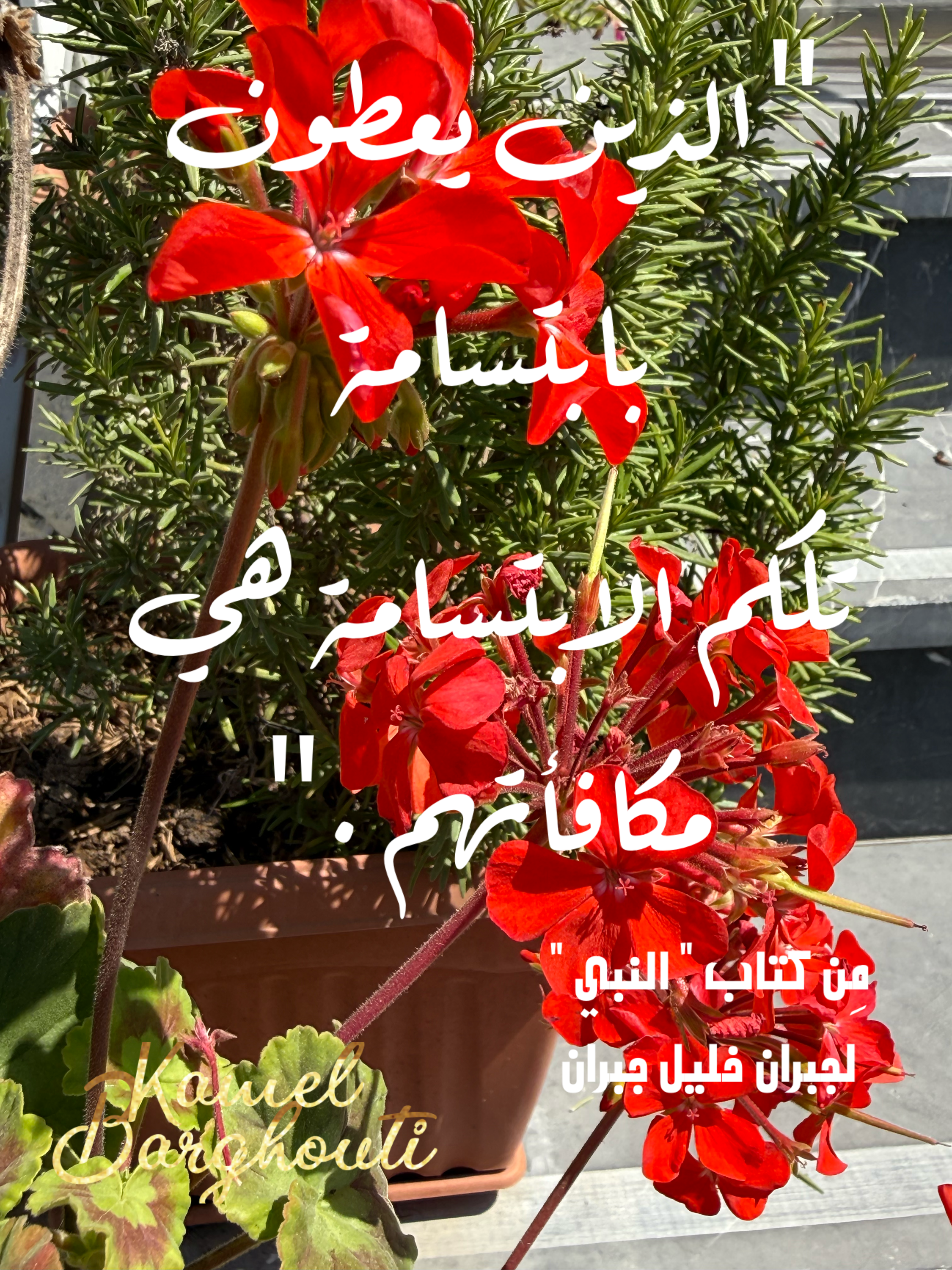 נדיבות ונתינה – ציטוט 1