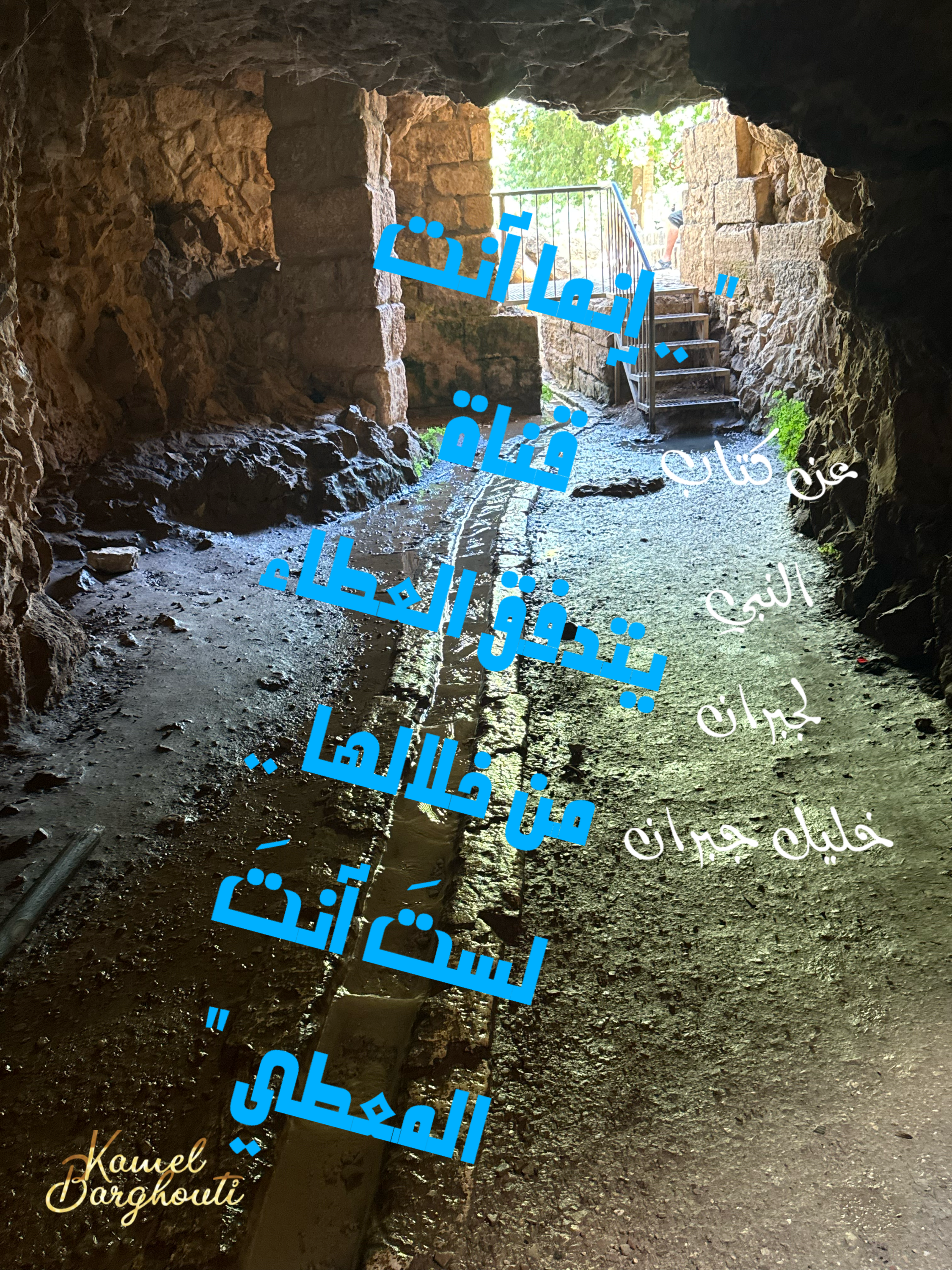 נדיבות ונתינה – ציטוט 2