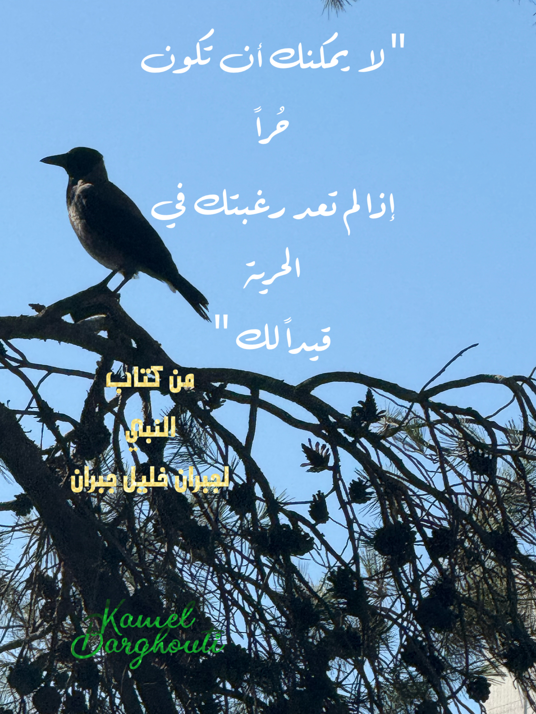 حكمة – اقتباس 49