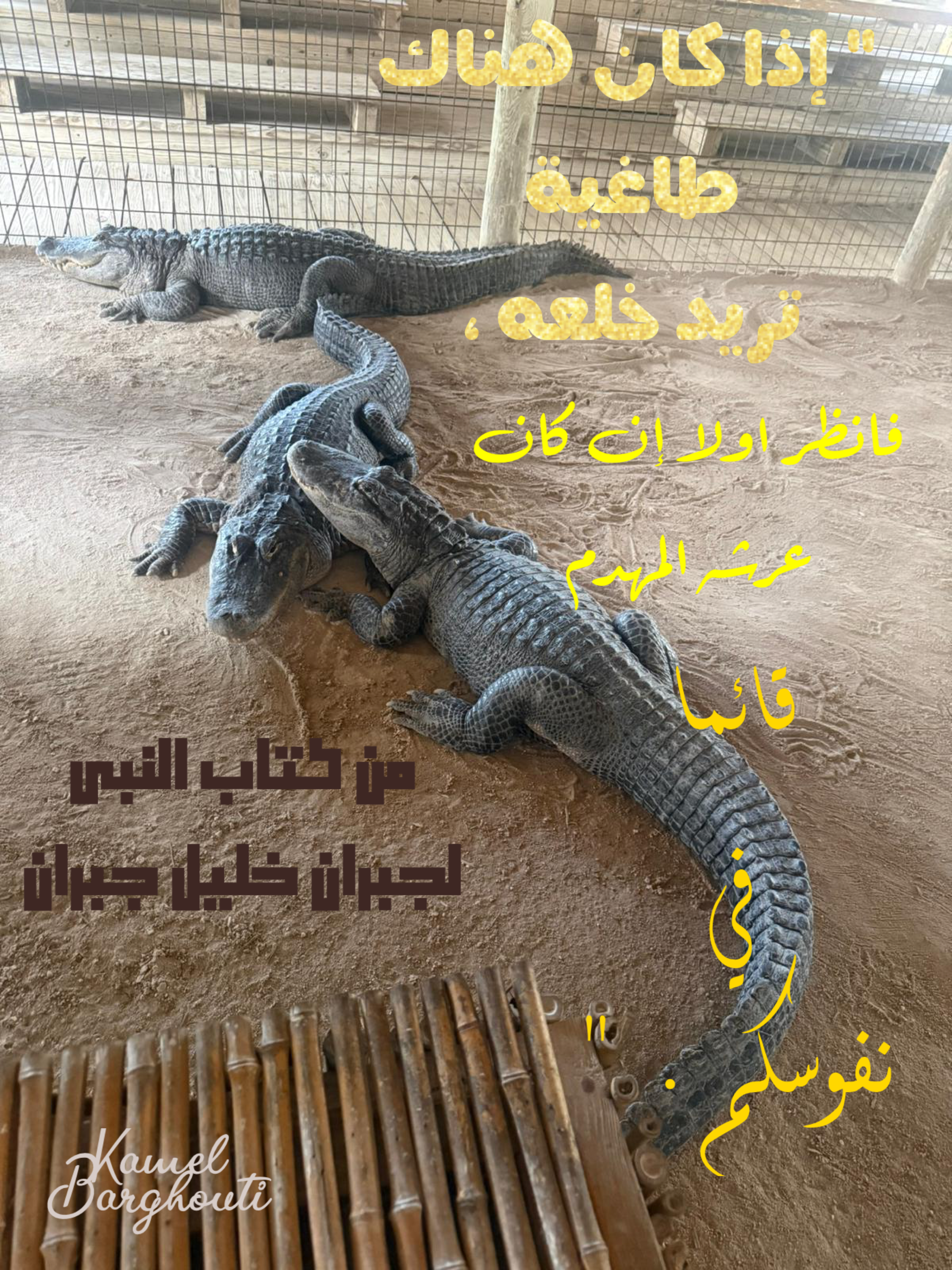 حكمة – اقتباس 50