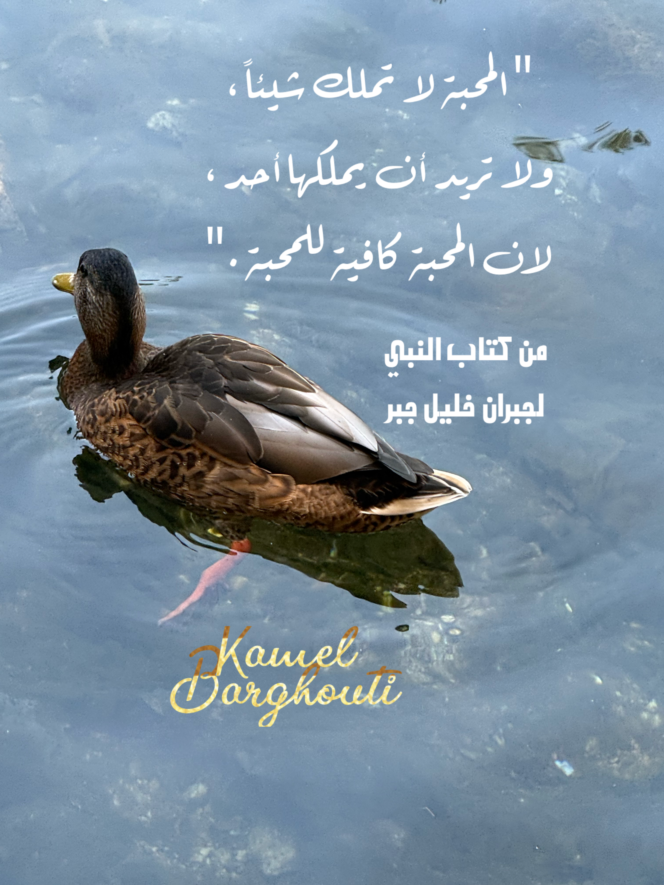 حب وحنين – اقتباس 42