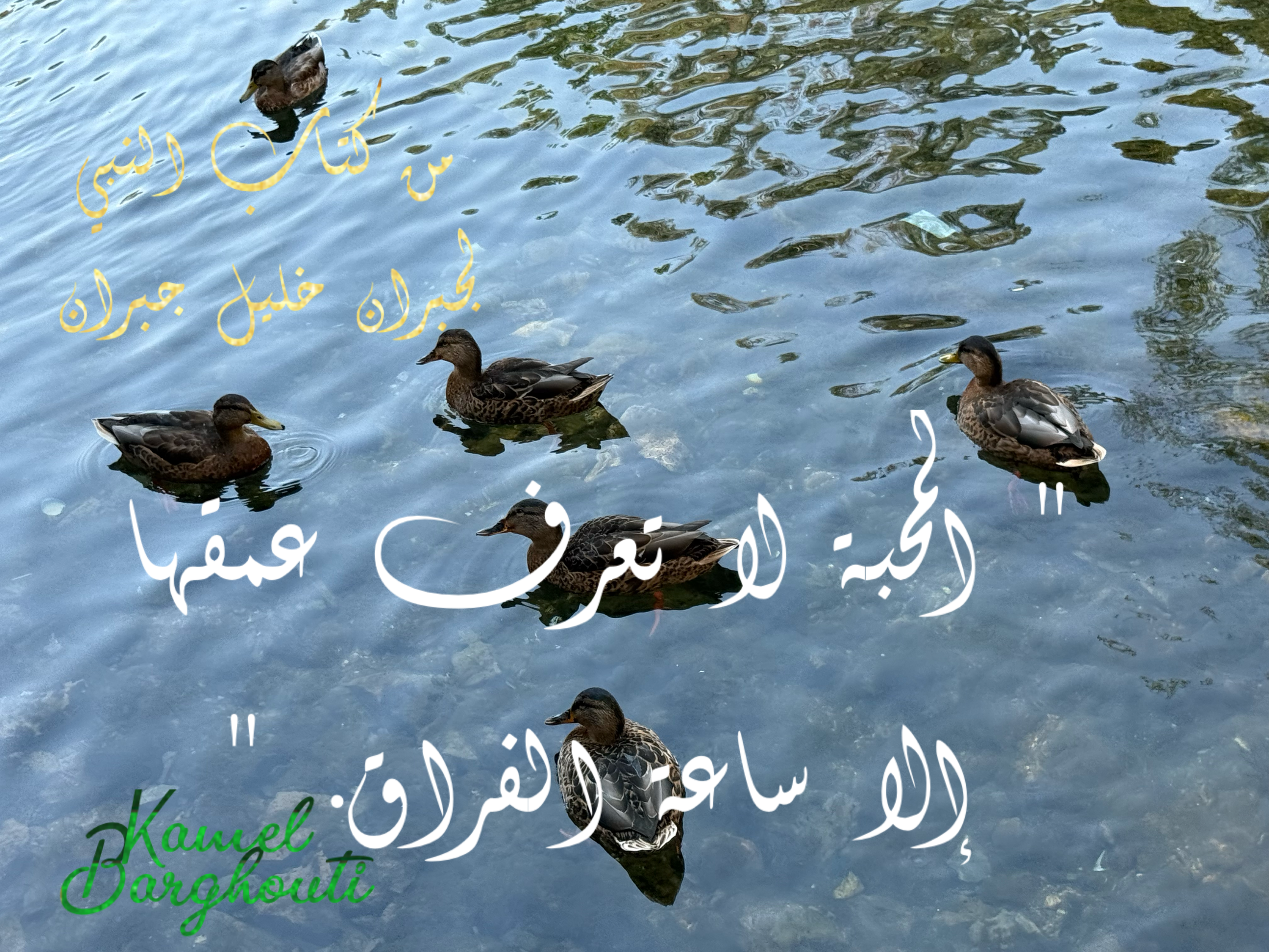 حب وحنين – اقتباس 40