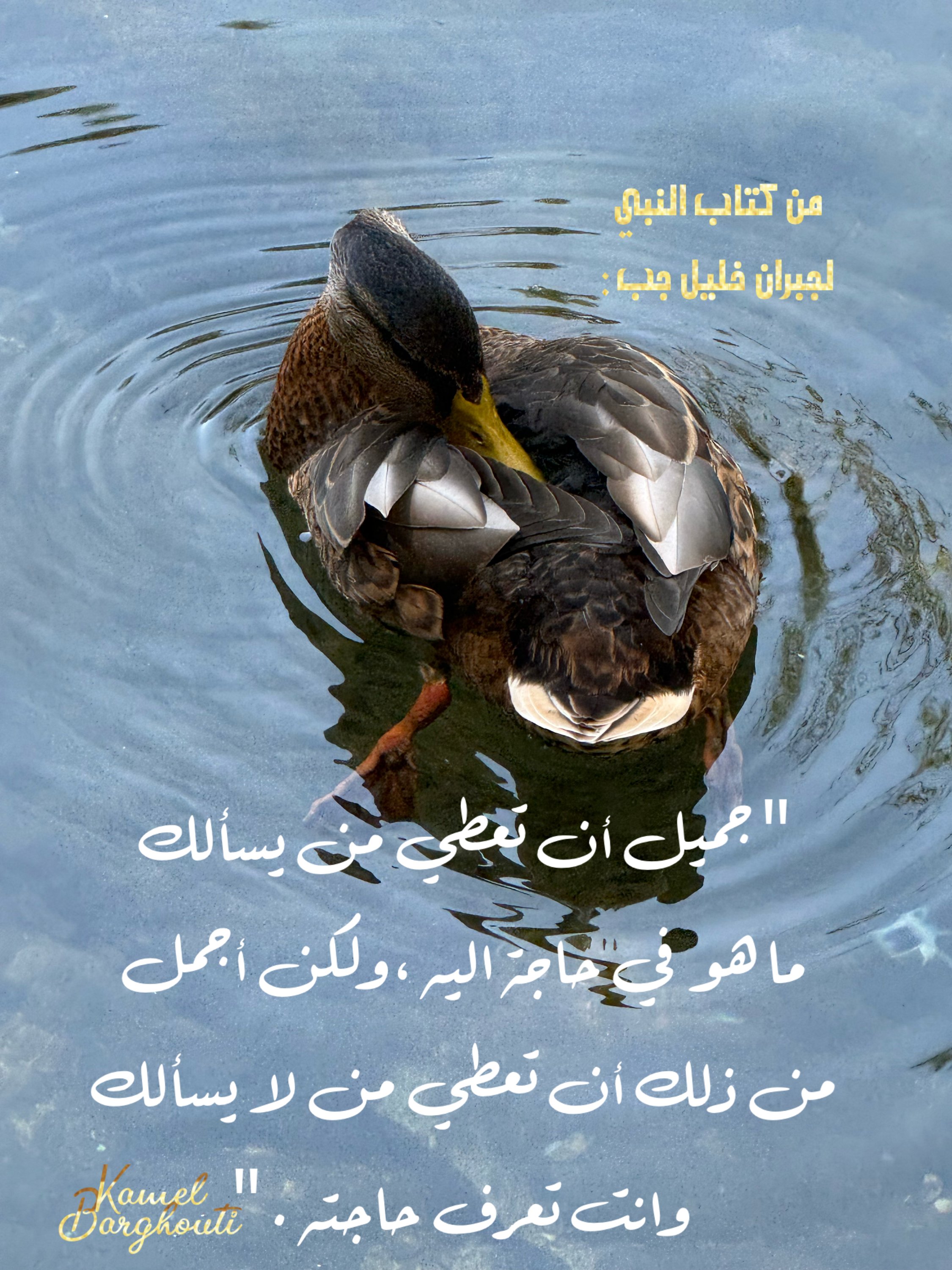 נדיבות ונתינה – ציטוט 3