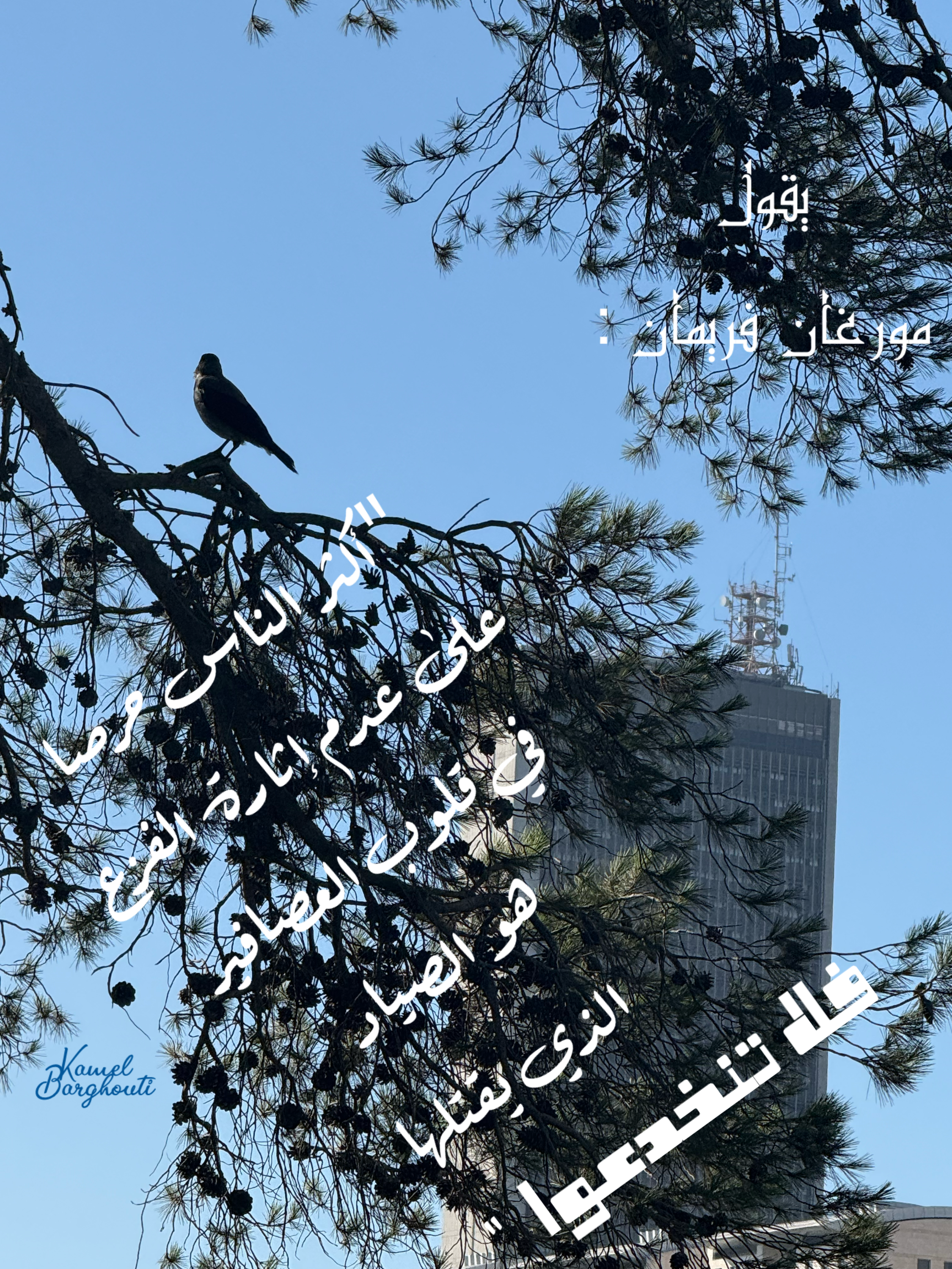 נדיבות ונתינה – ציטוט 4
