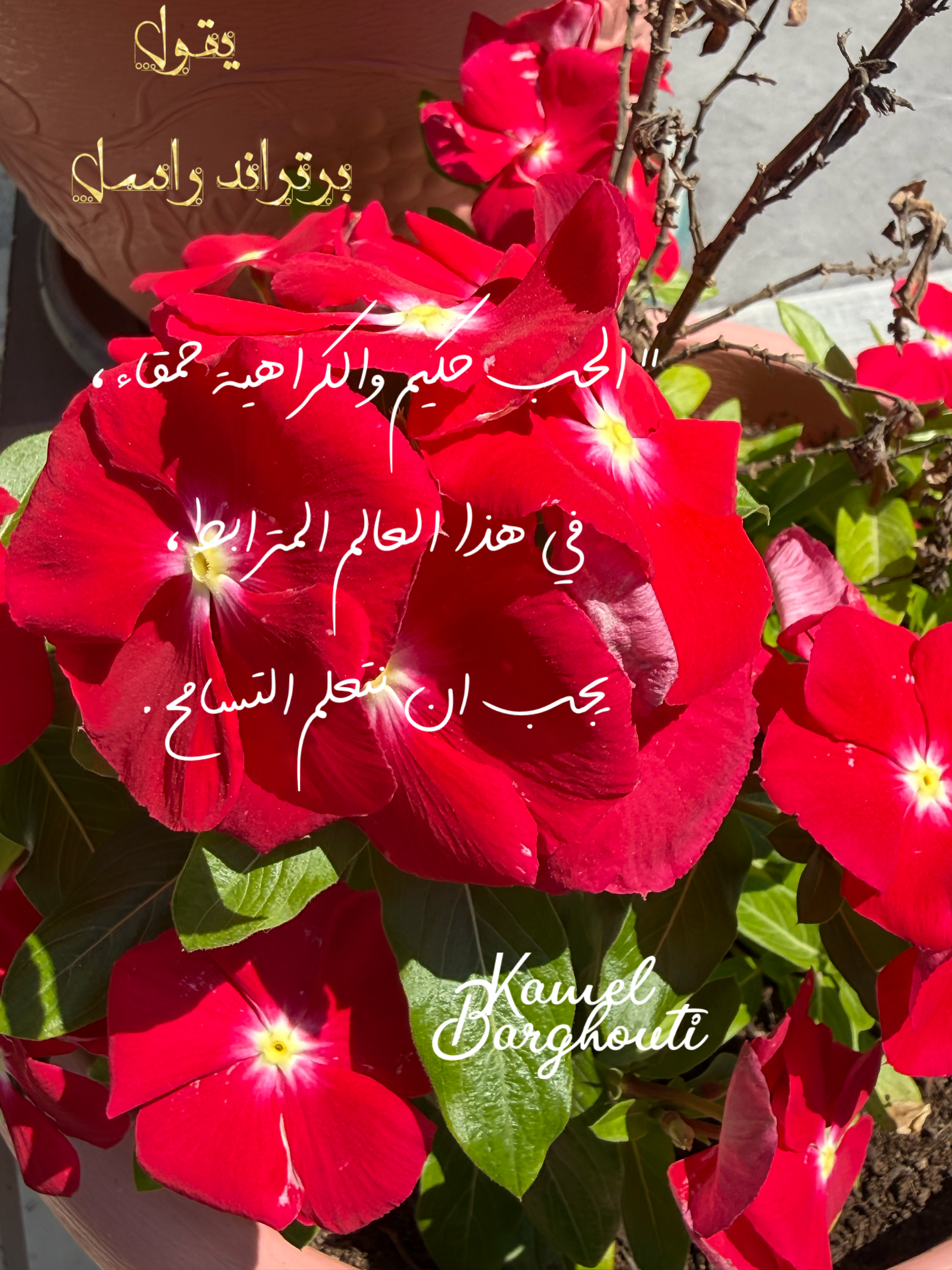حب وحنين – اقتباس 44