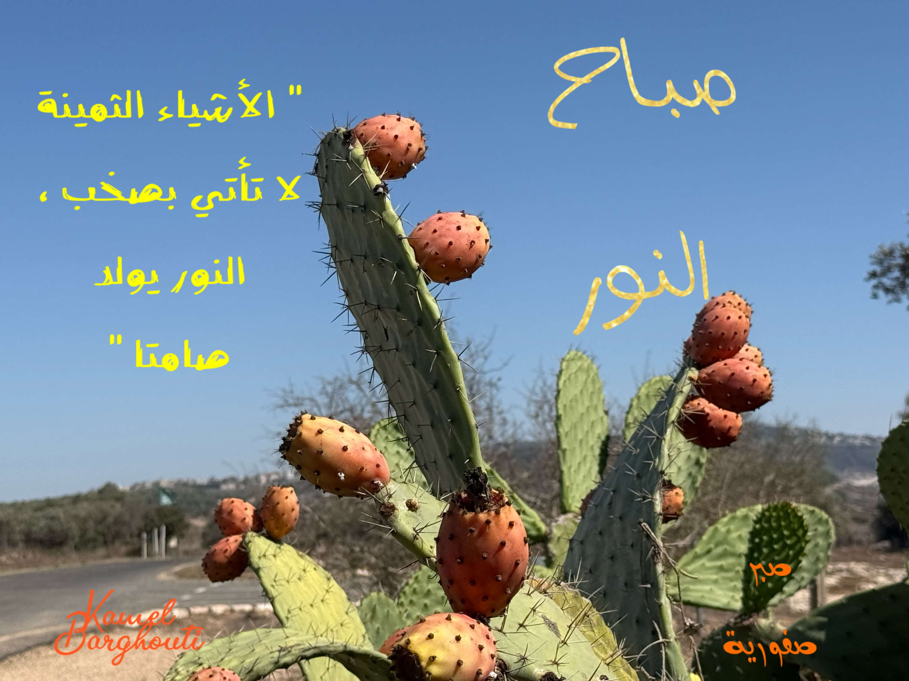 صباح الخير – اقتباس 1