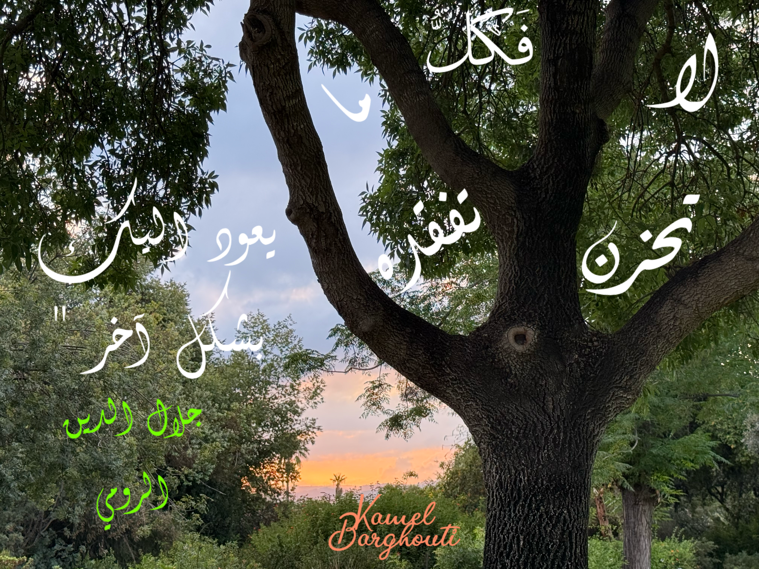 מקומות מפגשים וזמנים – ציטוט 2
