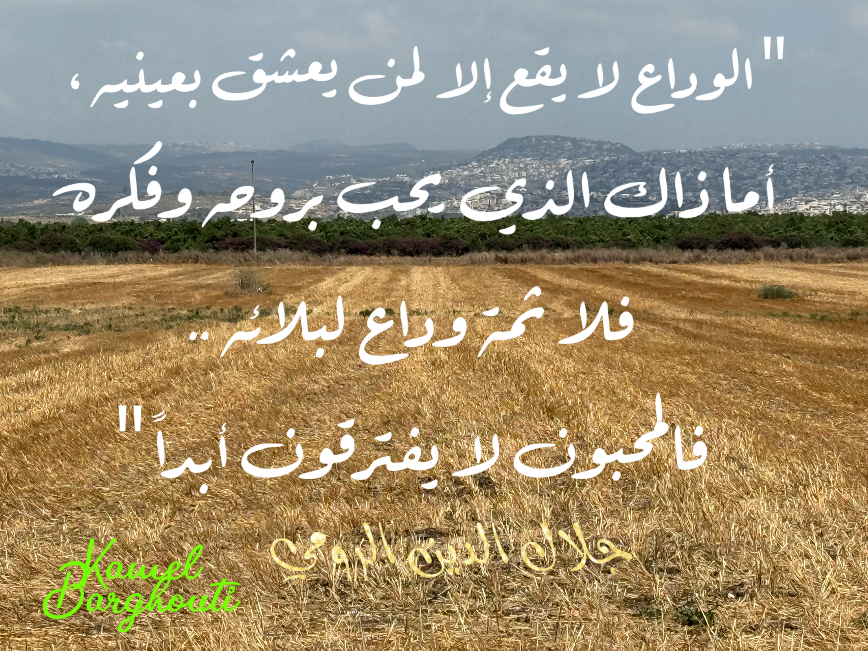 حكمة – اقتباس 38