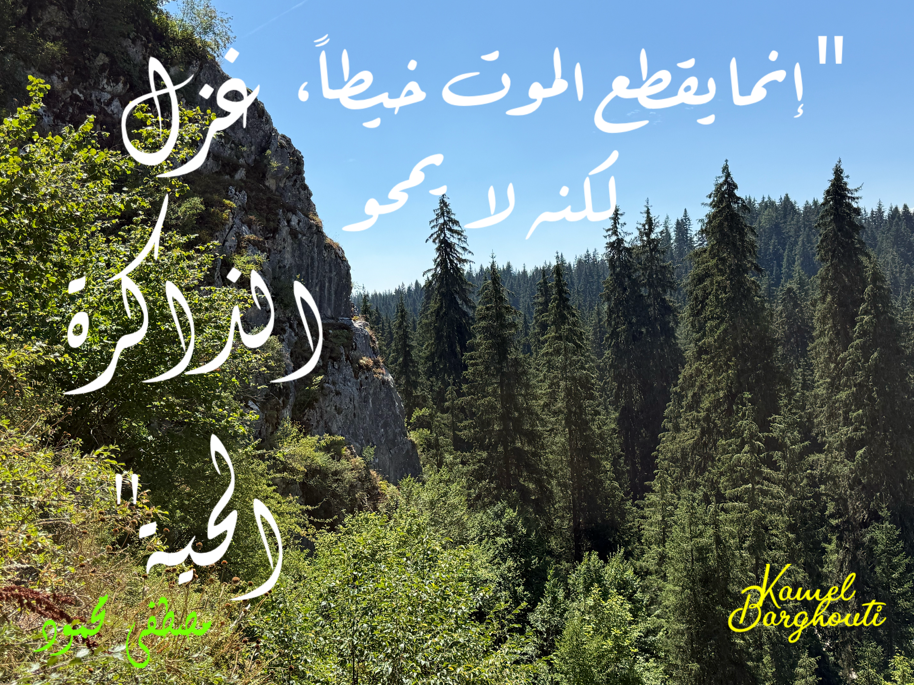 حكمة – اقتباس 37
