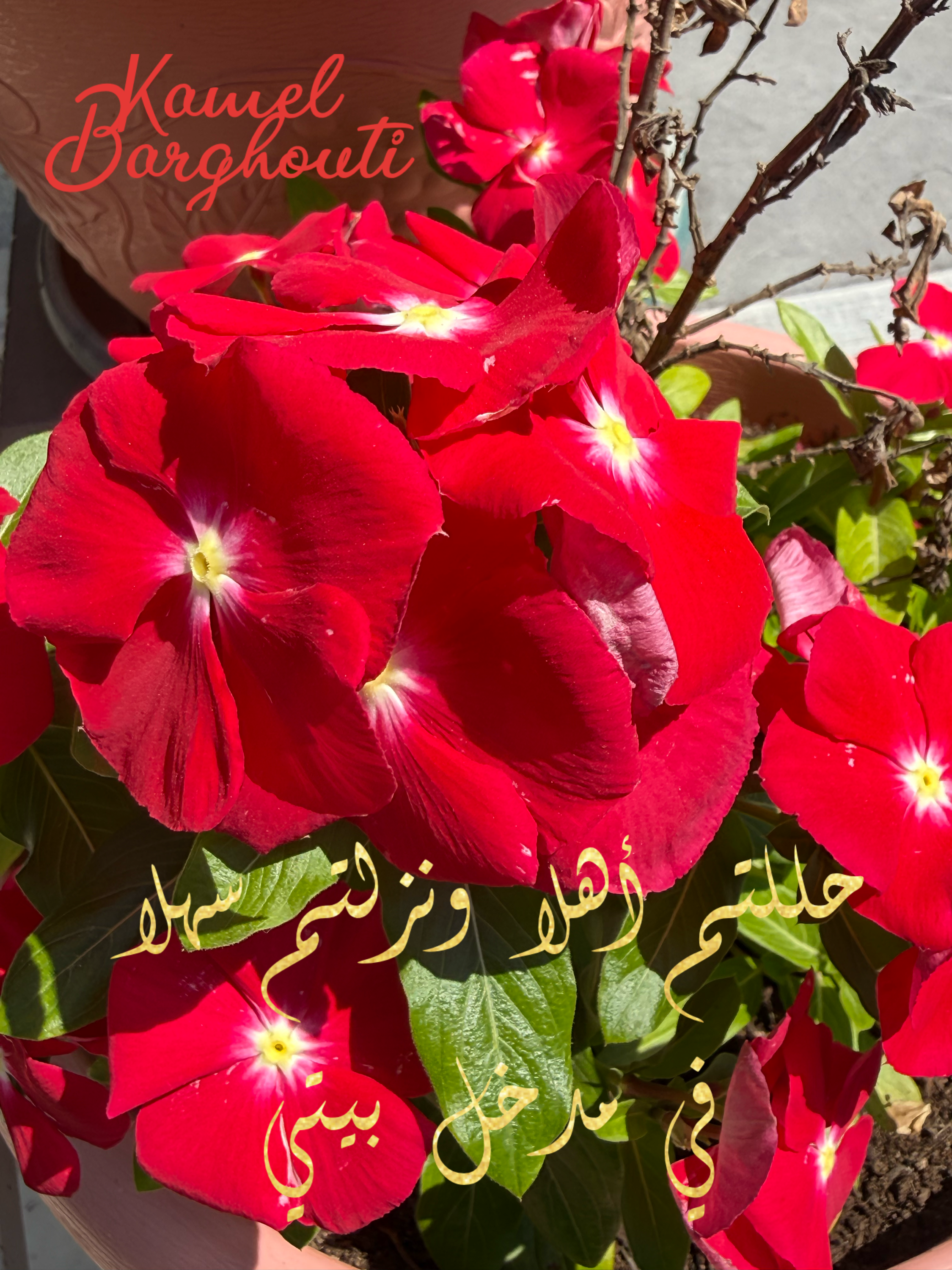التحيات والتمنيات – اقتباس 5