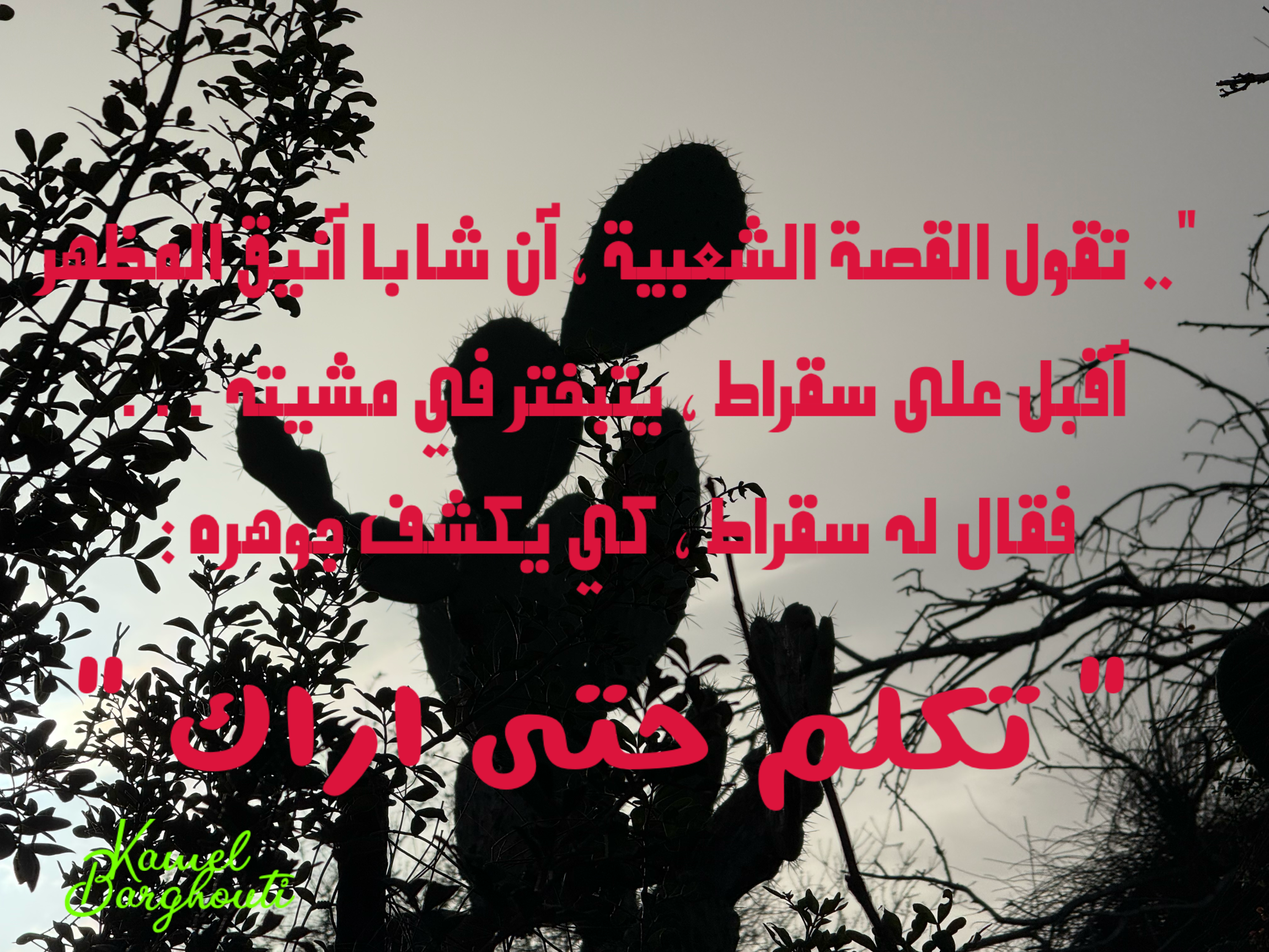 حكمة – اقتباس 29