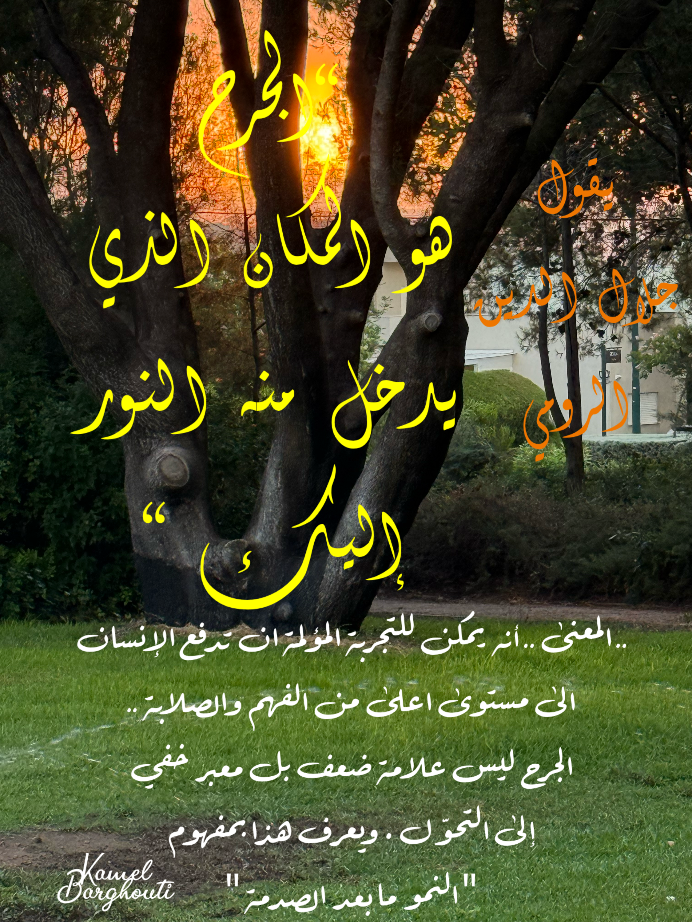 حكمة – اقتباس 28