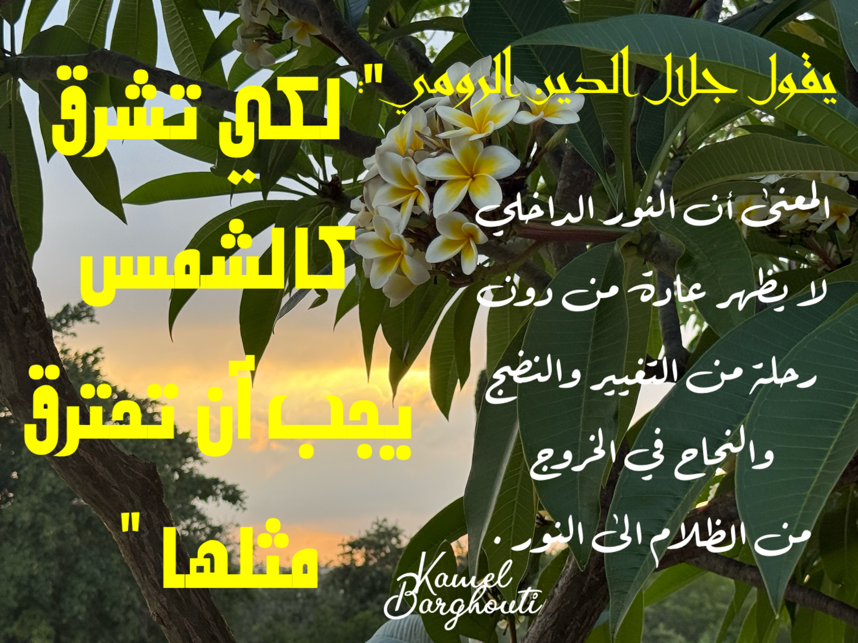حكمة – اقتباس 27