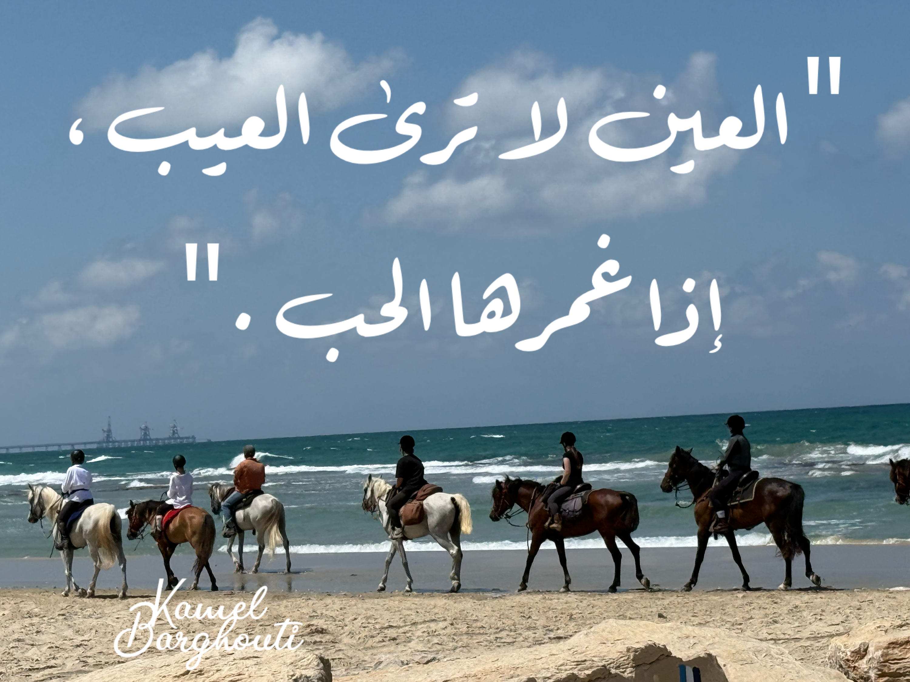 حكمة – اقتباس 22