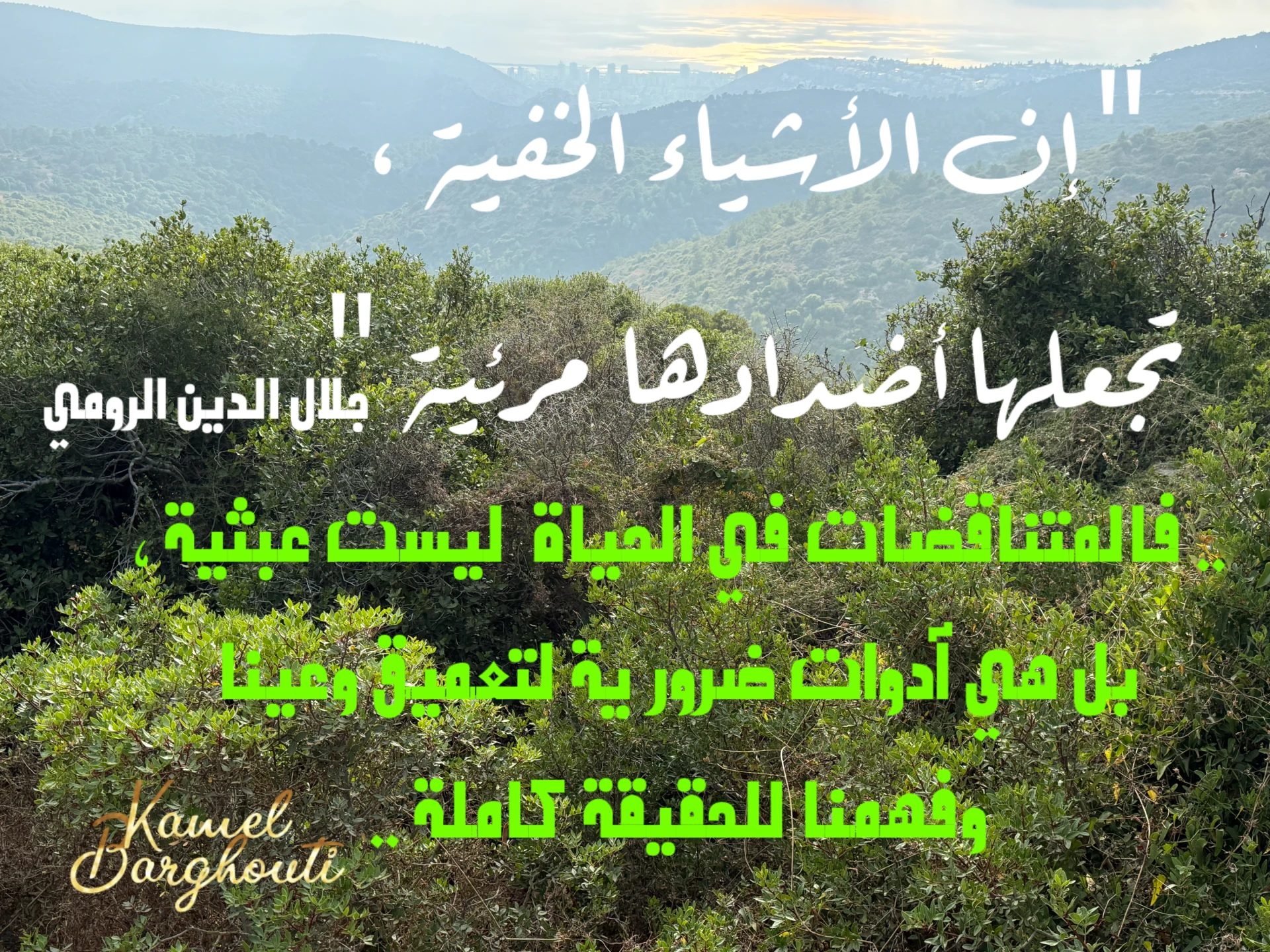 حكمة – اقتباس 4