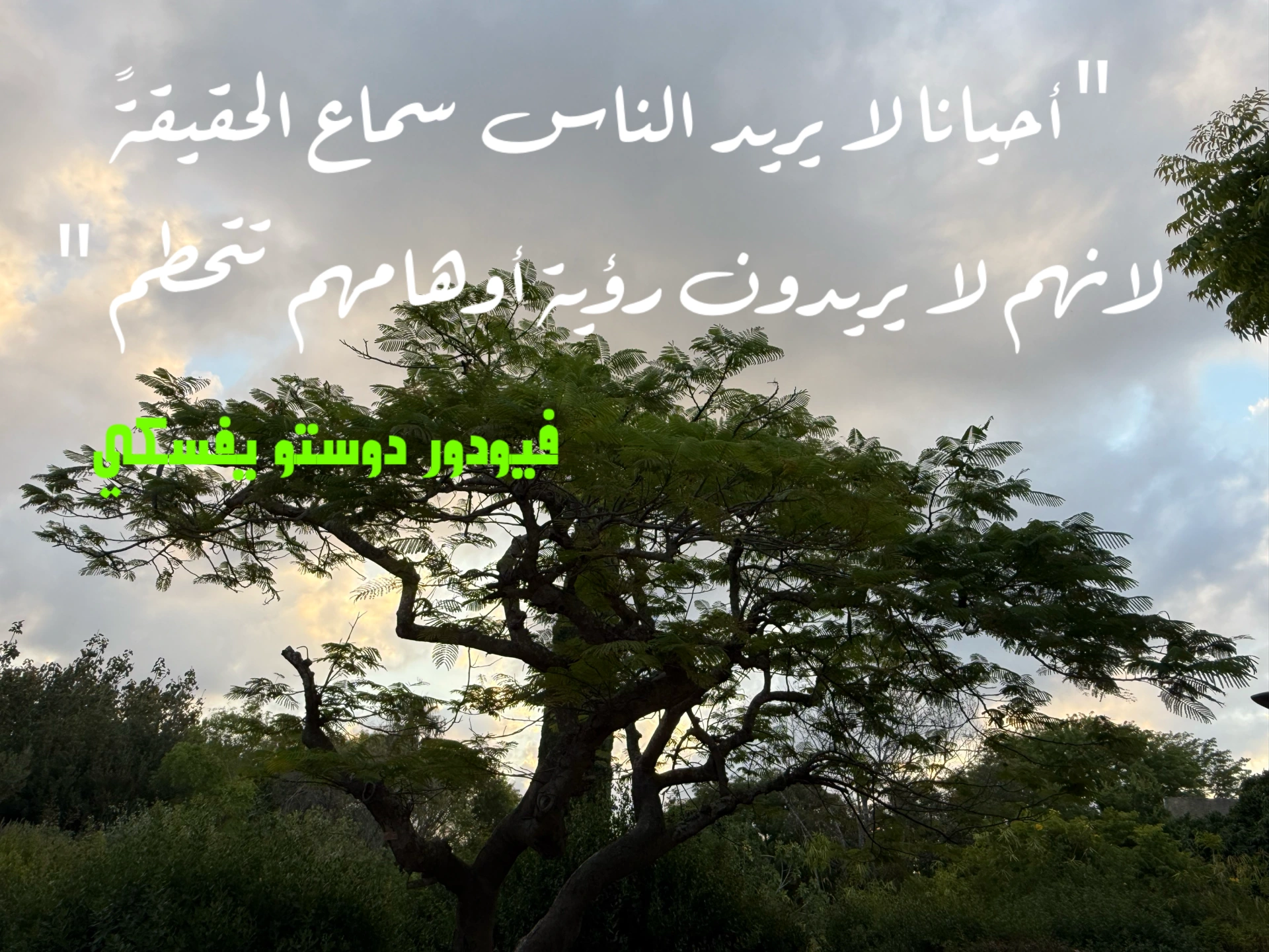 حكمة – اقتباس 8