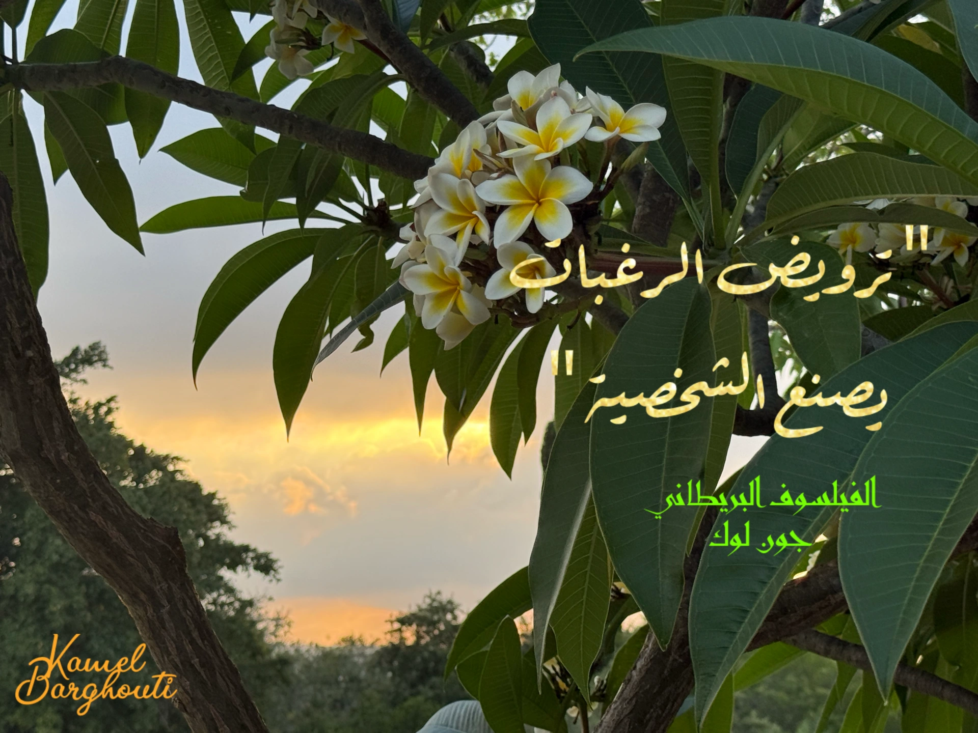 حكمة – اقتباس 6