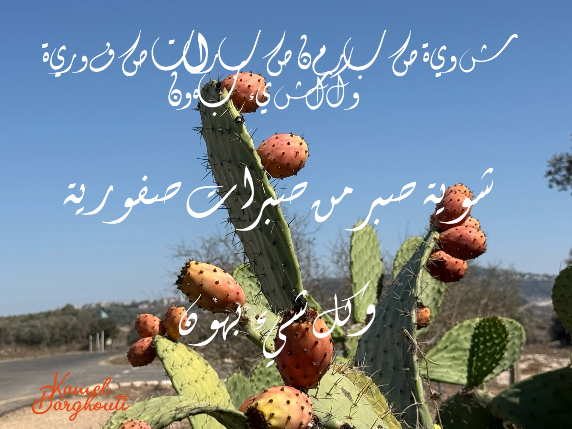 القناعة والصبر – اقتباس 1