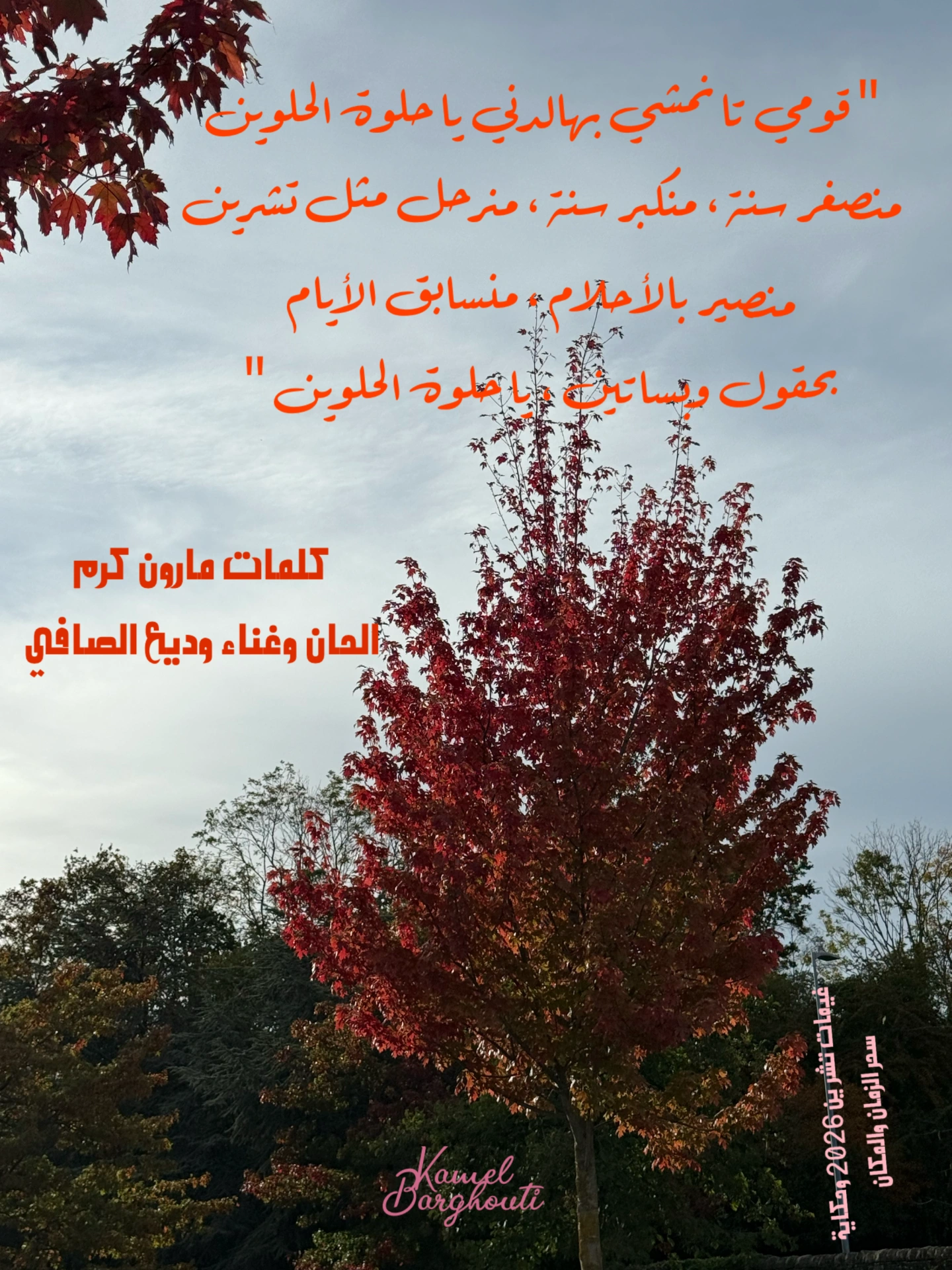 حب وحنين – اقتباس 11