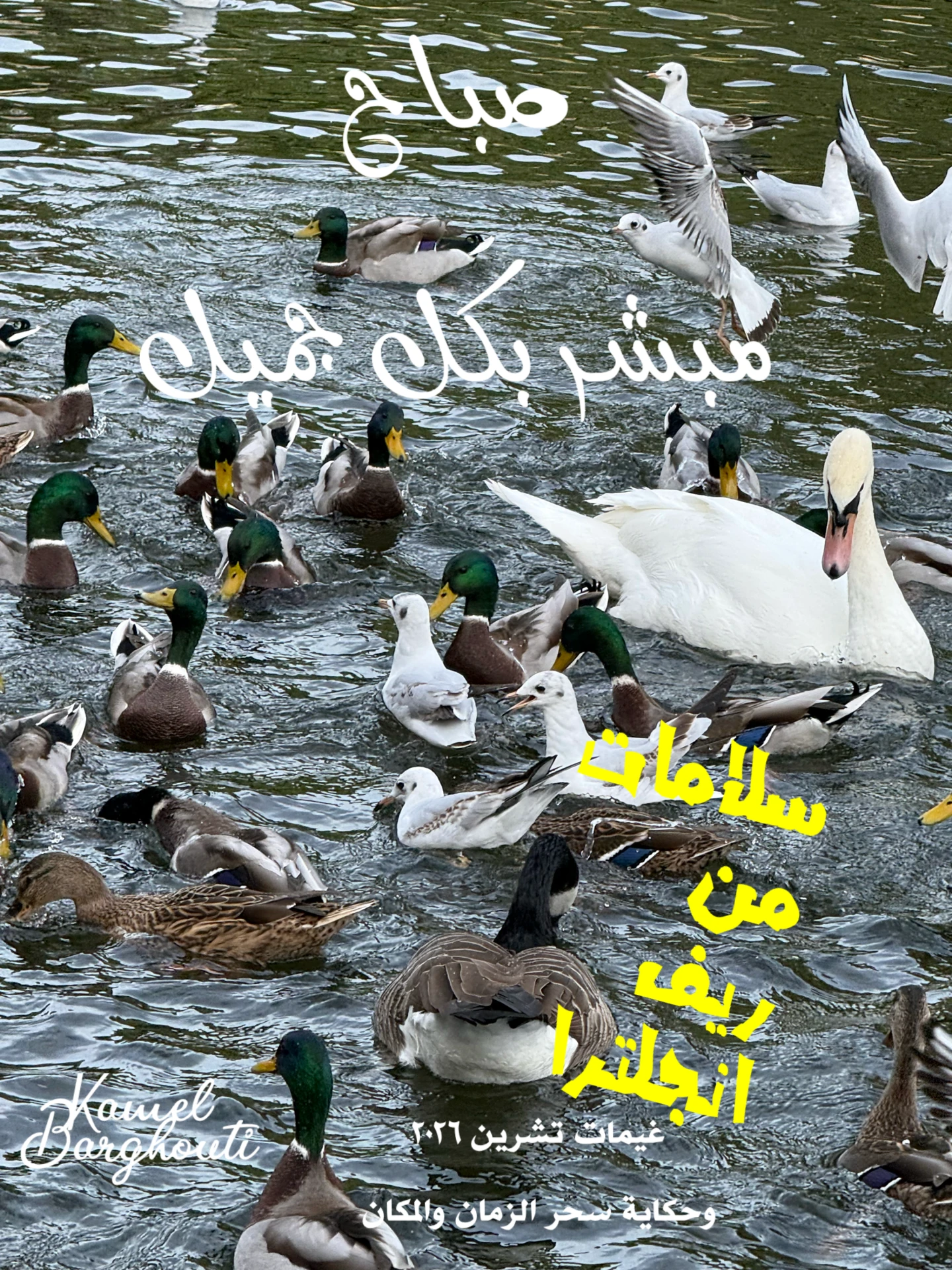 صباح الخير – اقتباس 4