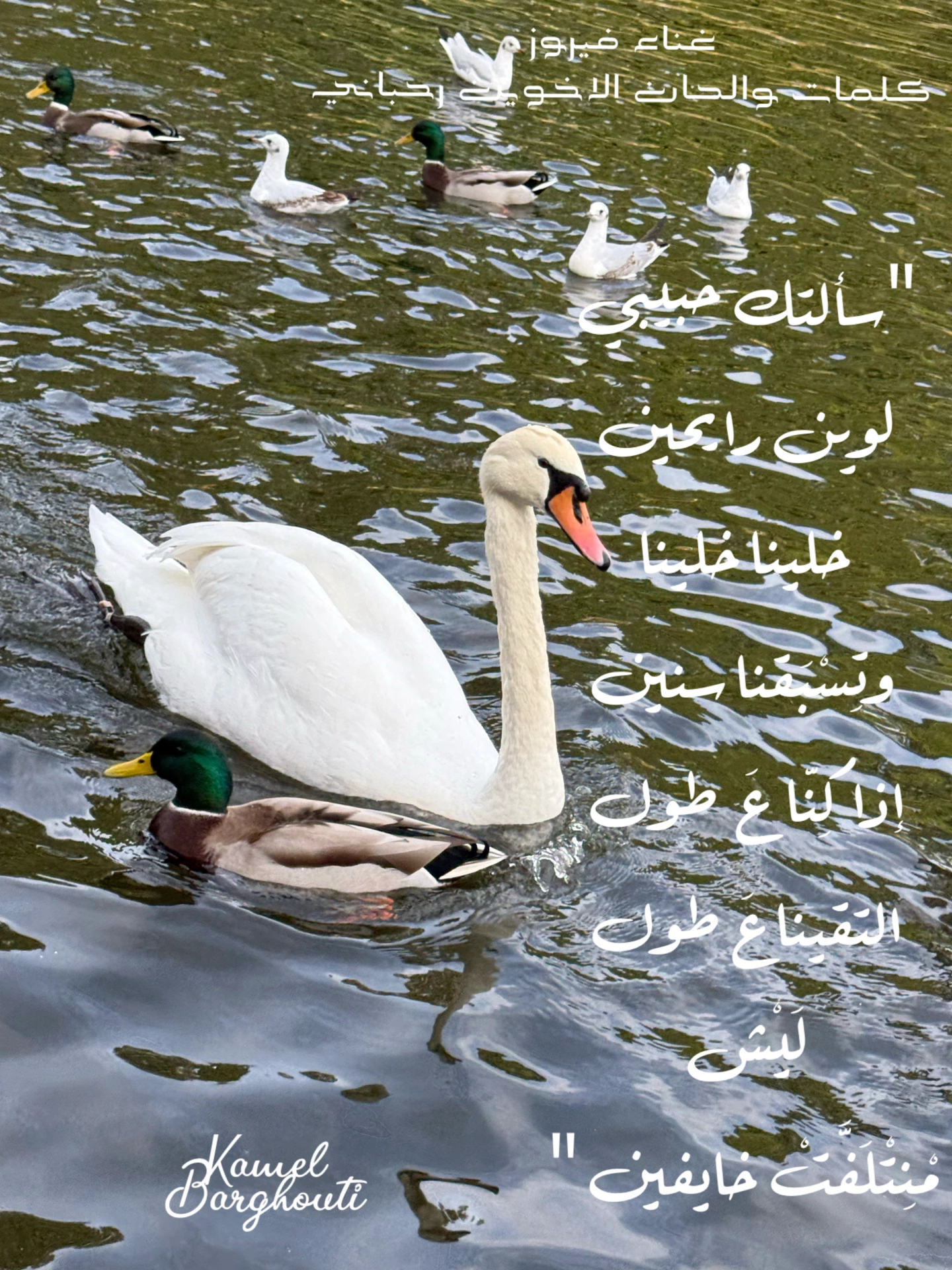حب وحنين – اقتباس 22
