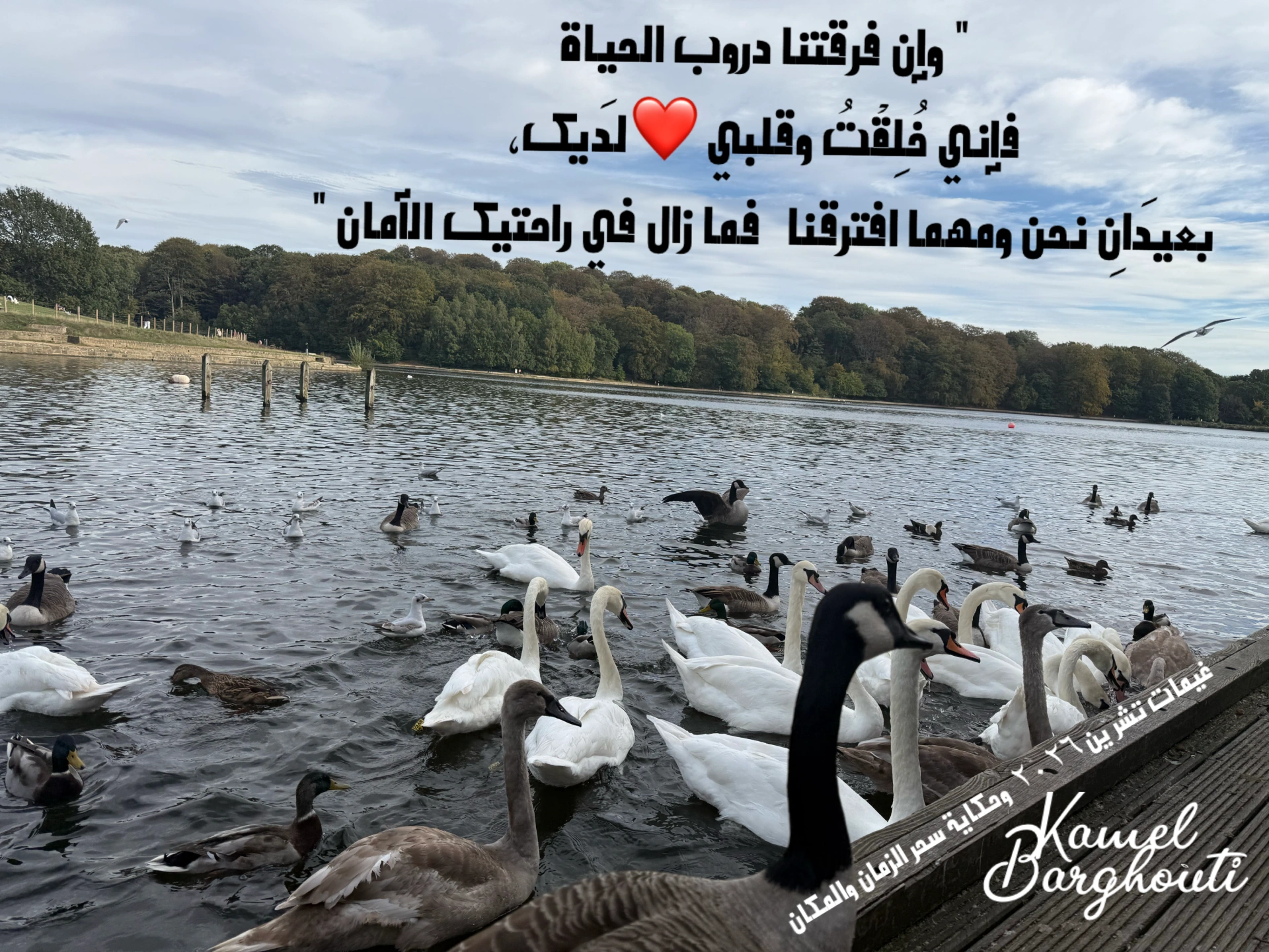 حب وحنين – اقتباس 26