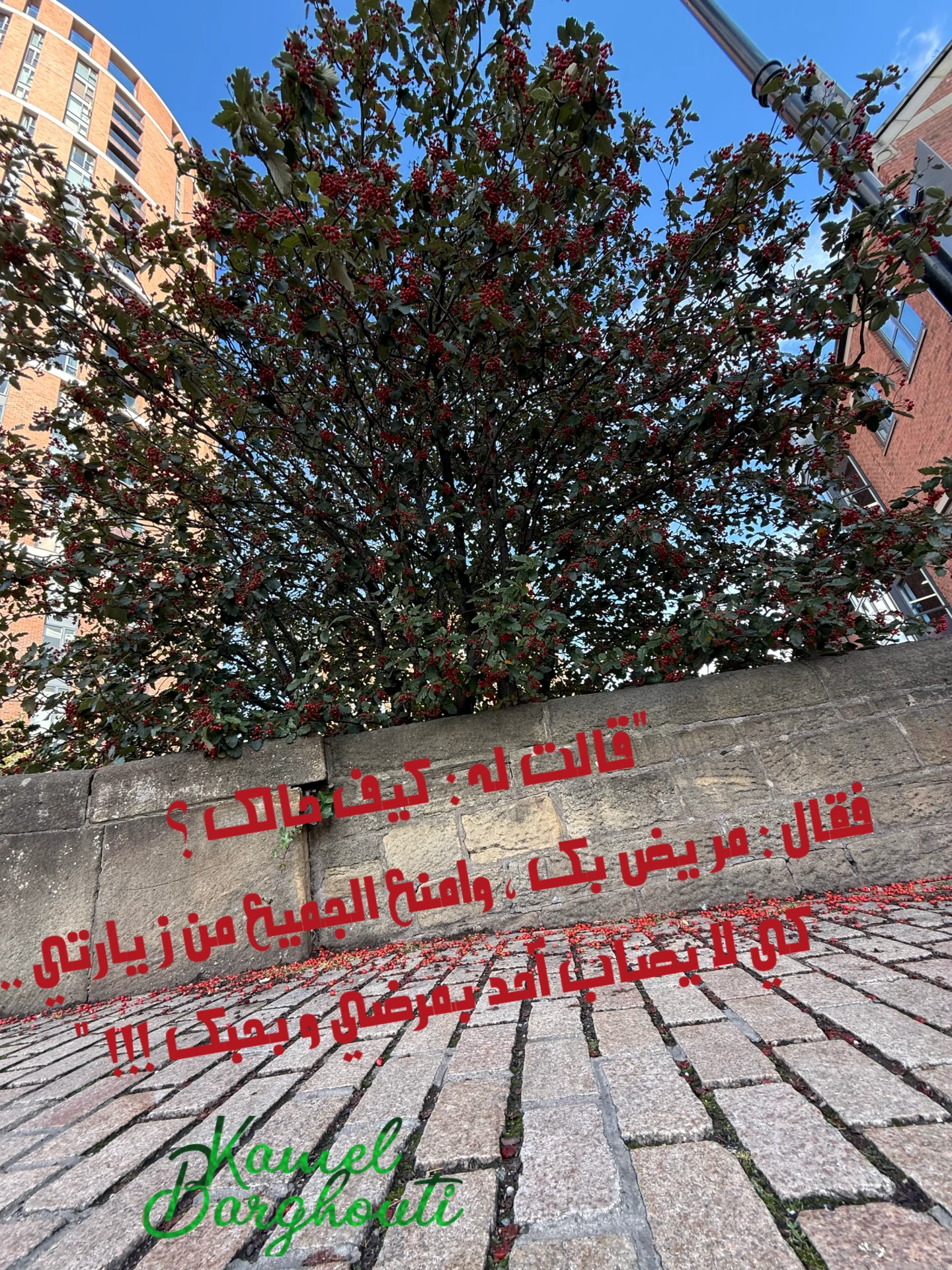 حب وحنين – اقتباس 27